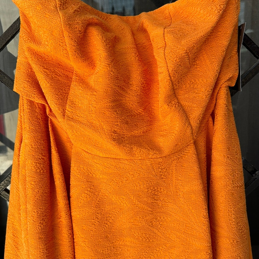 Brand New Eva Mendes Strapless Dress